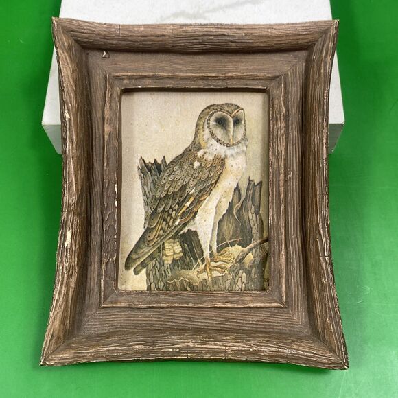 VTG MCM Pair Of Owl Prints 1970’s Rambow Rustic Wall Art Bird Halloween Decor - Picture 2 of 10